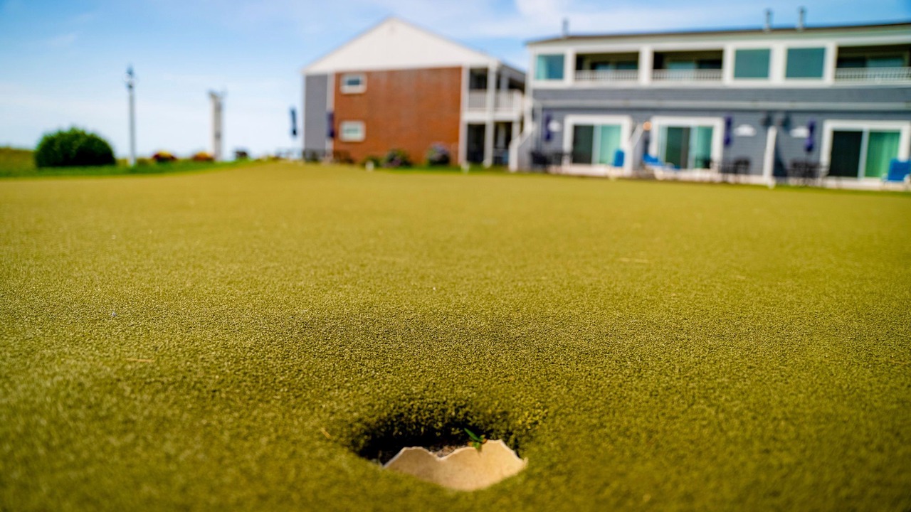 Photo of Others in Dennis Port