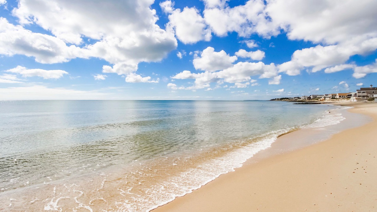 Photo of Others in Dennis Port