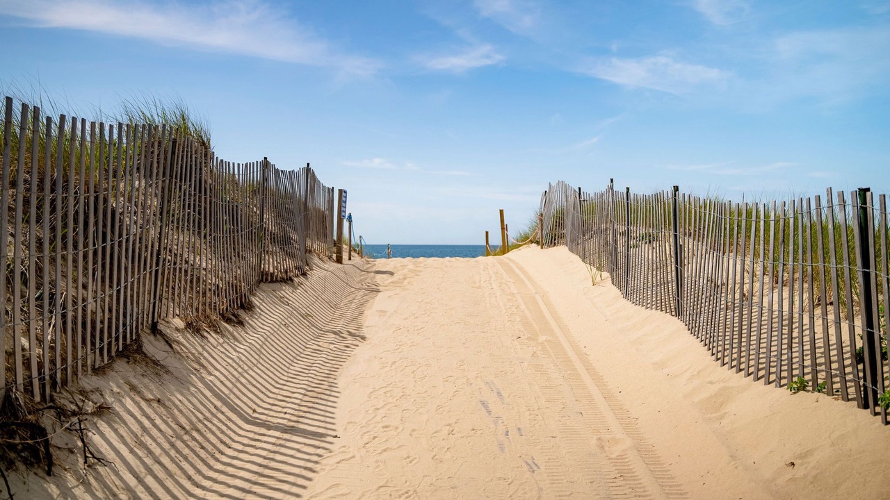 Photo of Others in Dennis Port