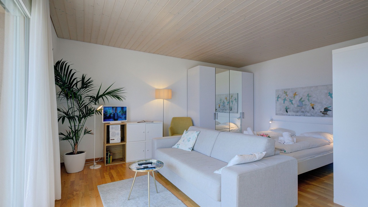 Photo of Livingroom in Muralto