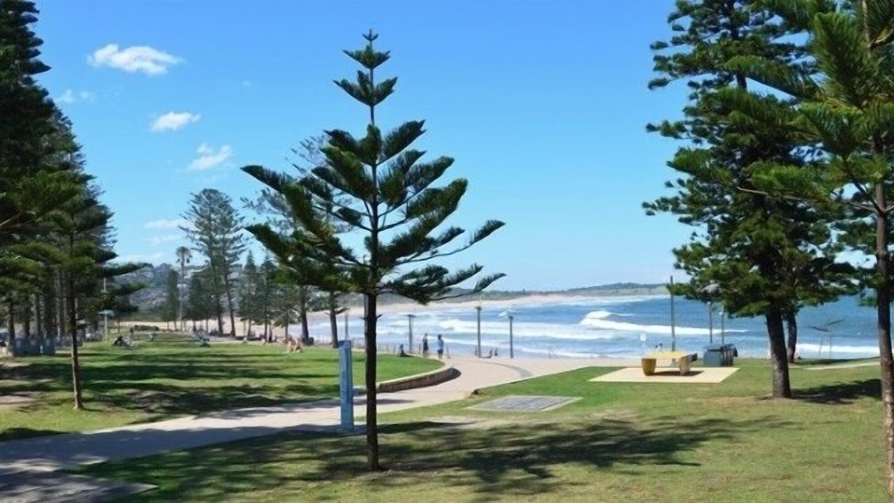 Photo of Others in Forestville