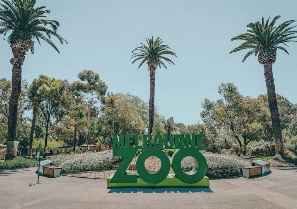 Photo of Others in Moonee Ponds