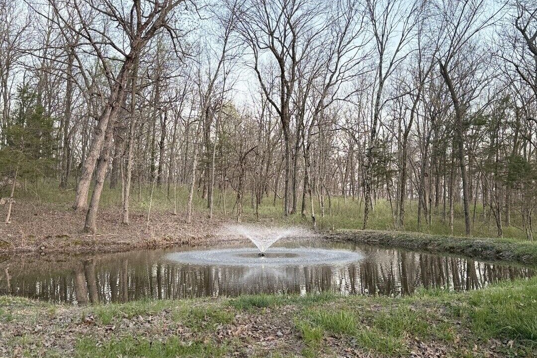 Photo of Others in Elkland