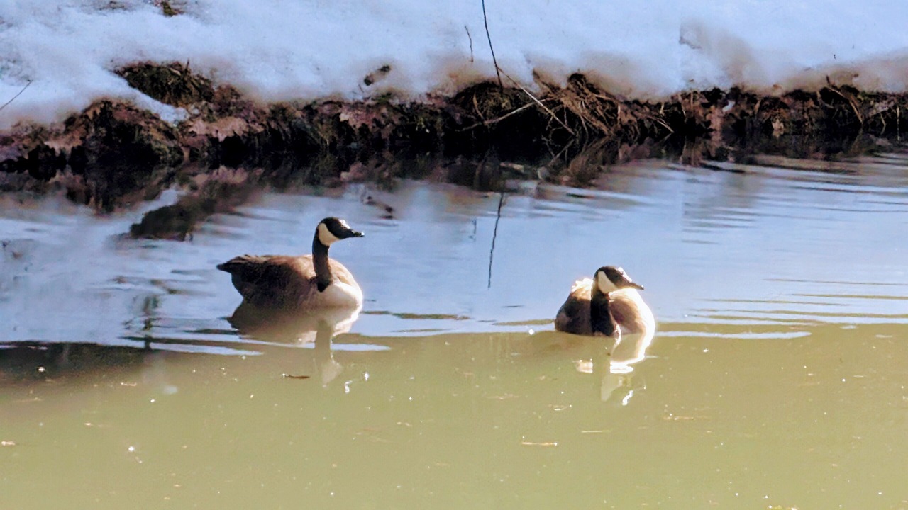 Photo of Others in Clarington
