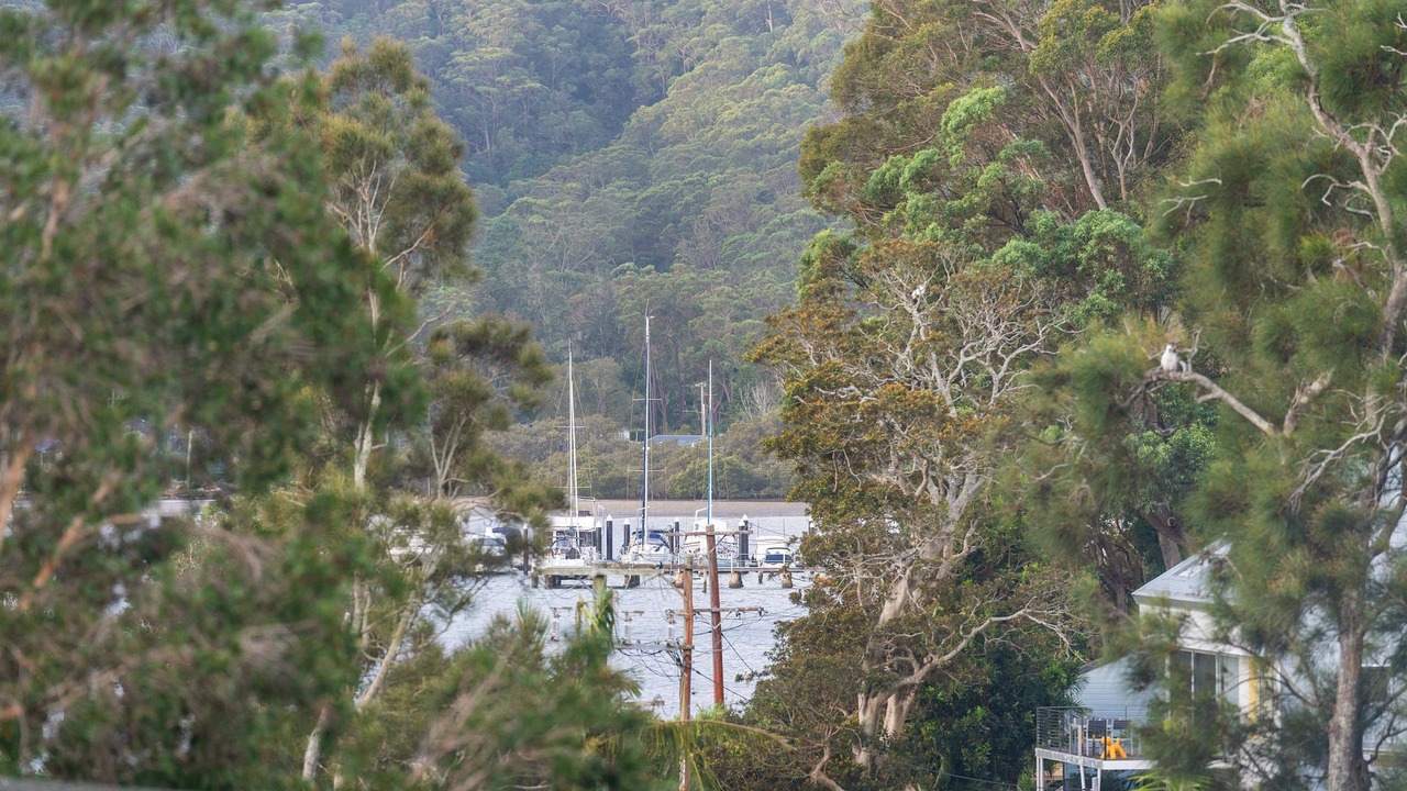 Photo of Others in Hardys Bay