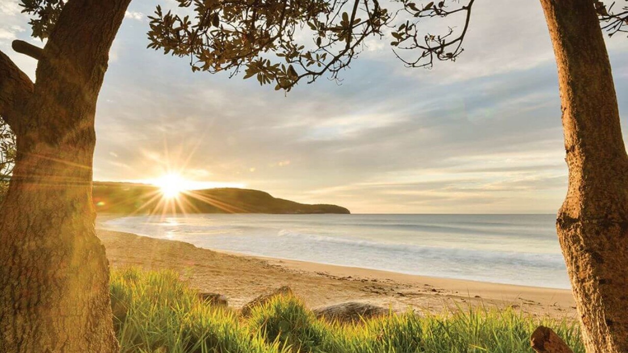 Photo of Others in Hardys Bay