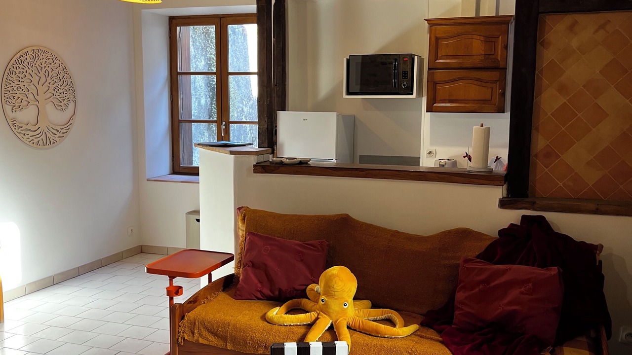 Photo of Livingroom in Montreuil-Bellay