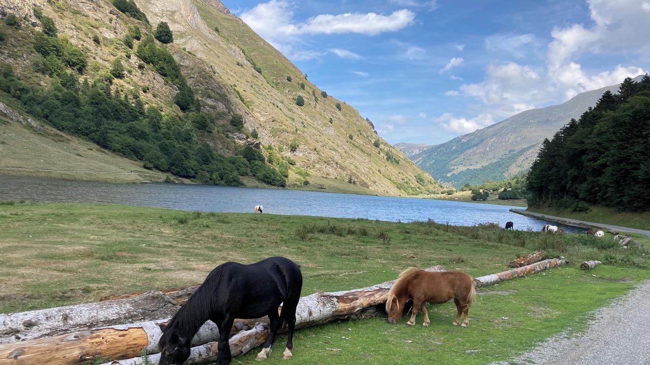 Photo of Others in Estaing