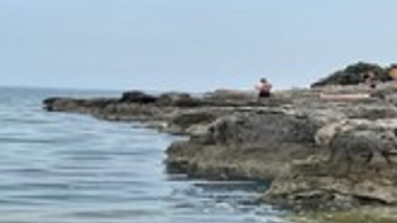 Photo of Others in Barbariga