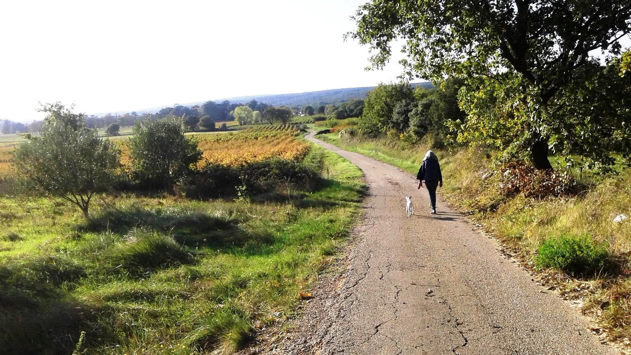 Photo of Others in Vallabrix