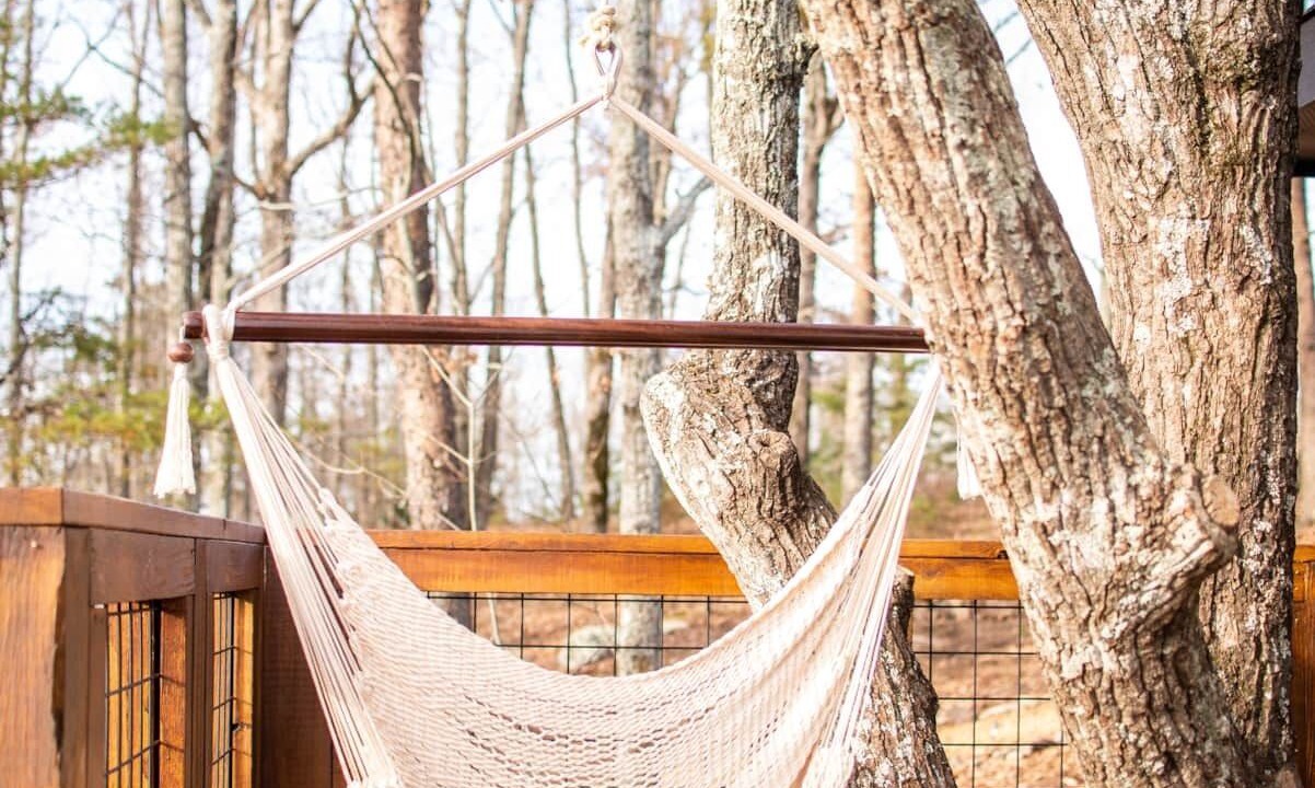 Photo of Others in Rising Fawn