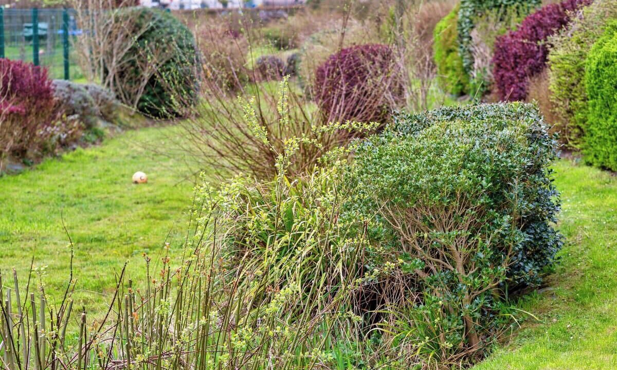 Photo of Others in Bois-Guillaume