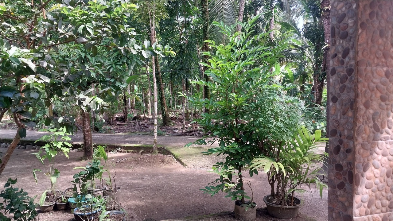 Photo of Outdoor in Tanjung Lesung