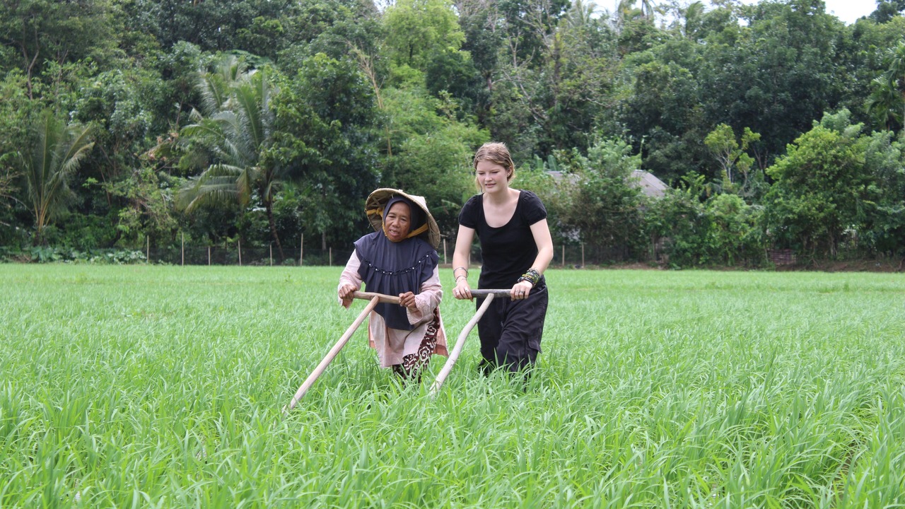 Photo of Others in Tanjung Lesung