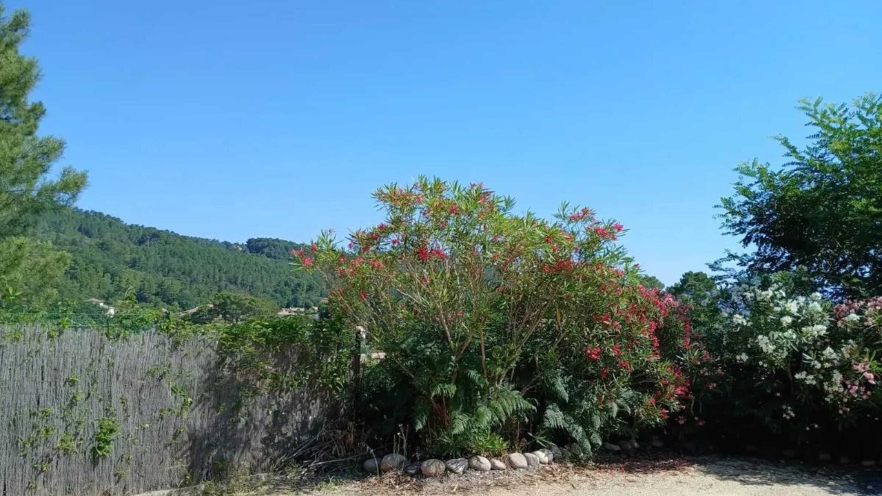 Photo of Outdoor in Mercuer