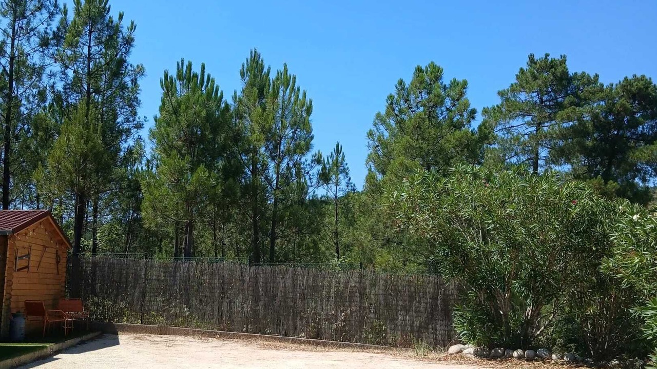 Photo of Outdoor in Mercuer