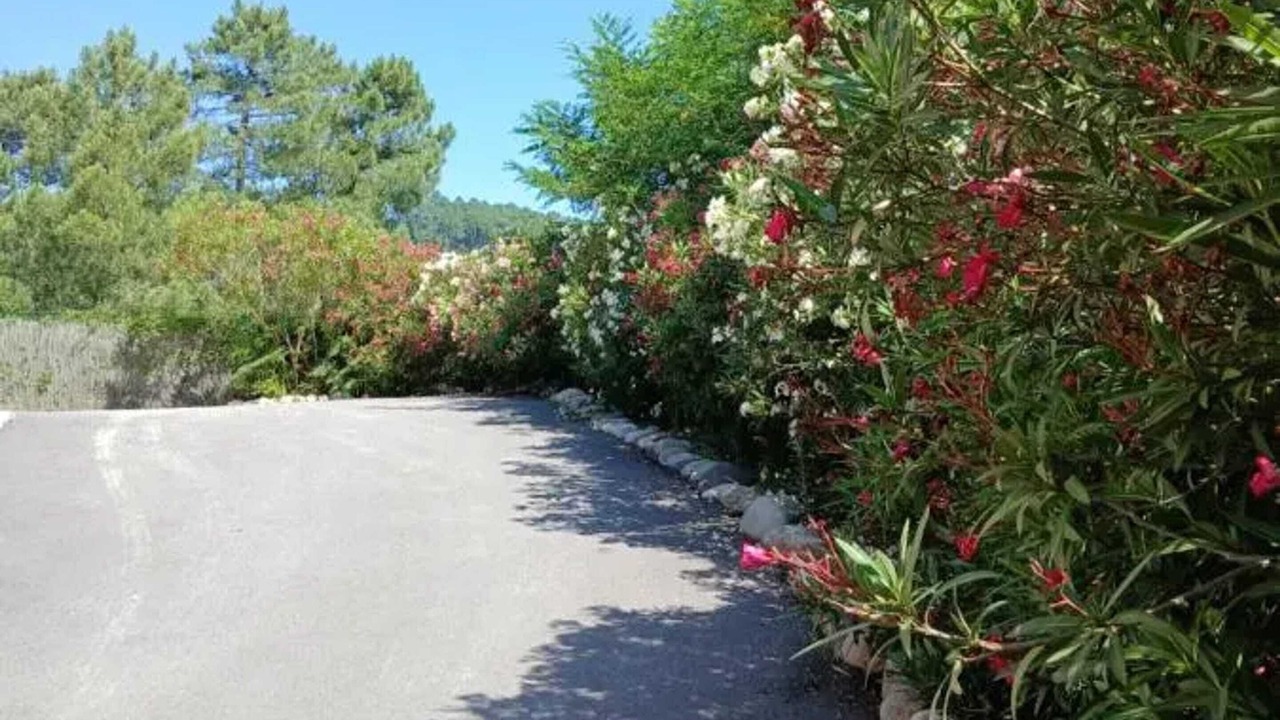 Photo of Outdoor in Mercuer