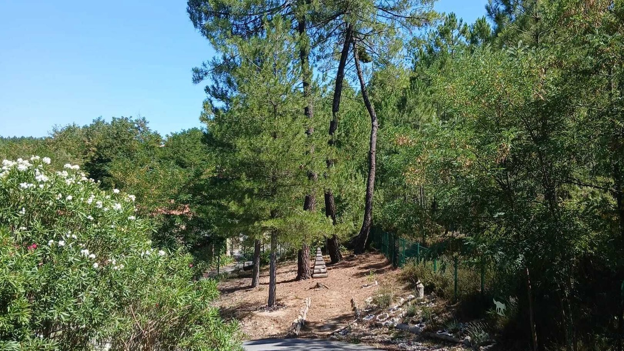 Photo of Outdoor in Mercuer