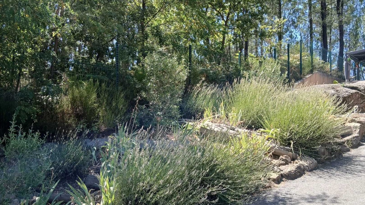 Photo of Outdoor in Mercuer