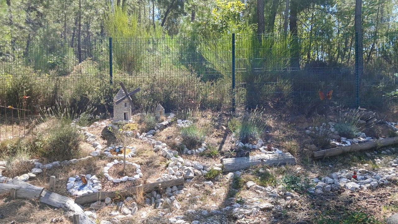 Photo of Outdoor in Mercuer