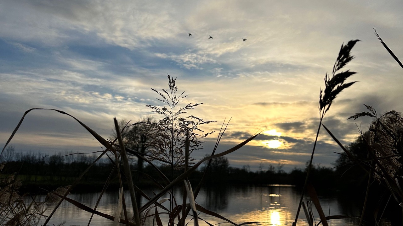 Photo of Others in Saint-Maurice-Etusson