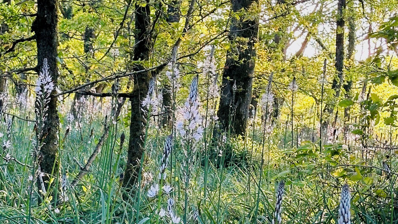 Photo of Others in Saint-Maurice-Etusson