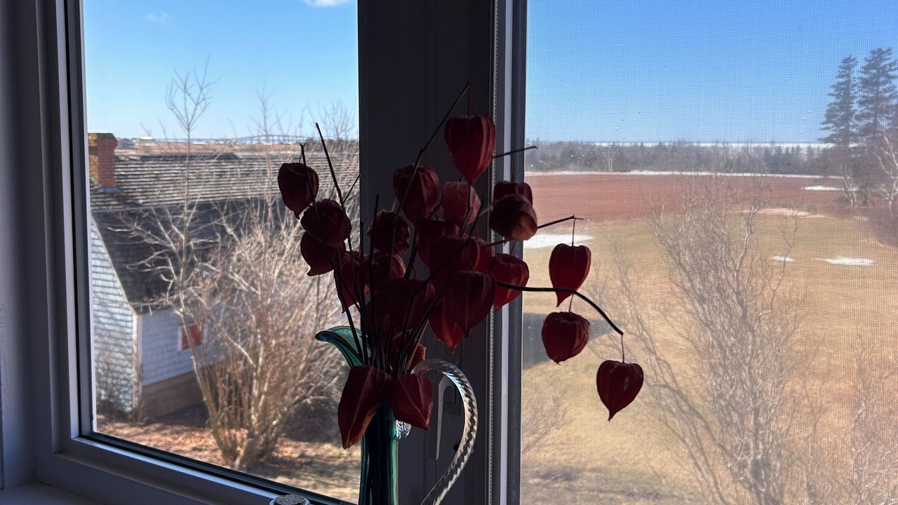 Photo of Others in Borden-Carleton
