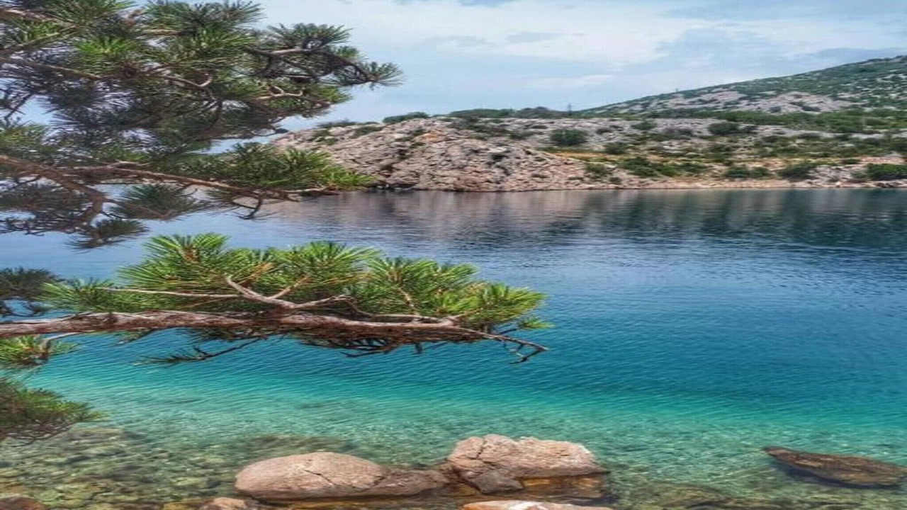 Photo of Others in Molat