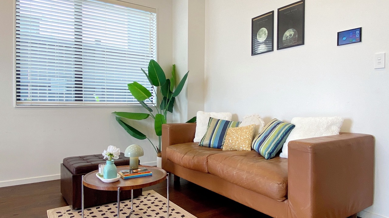 Photo of Livingroom in Flat Bush