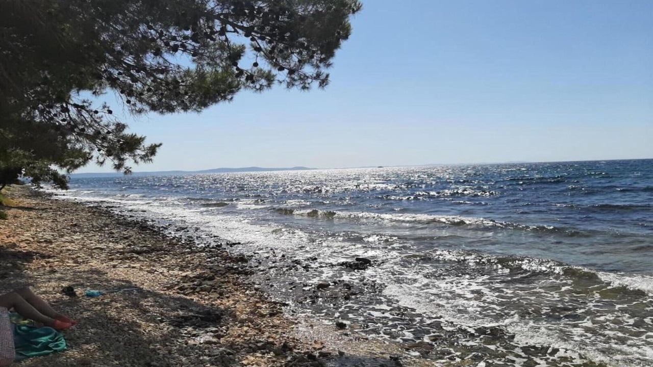 Photo of Others in Raslina
