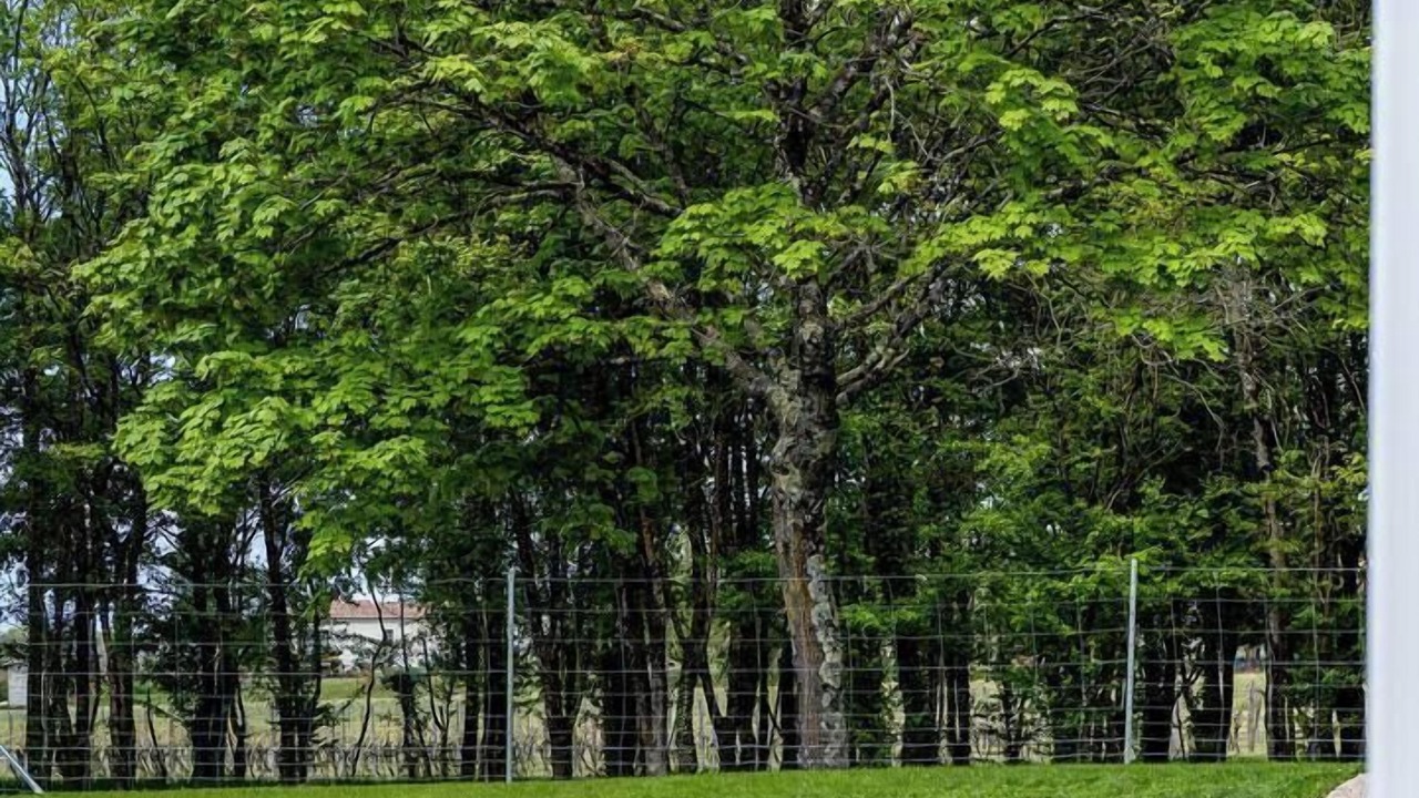 Photo of Others in Grezac