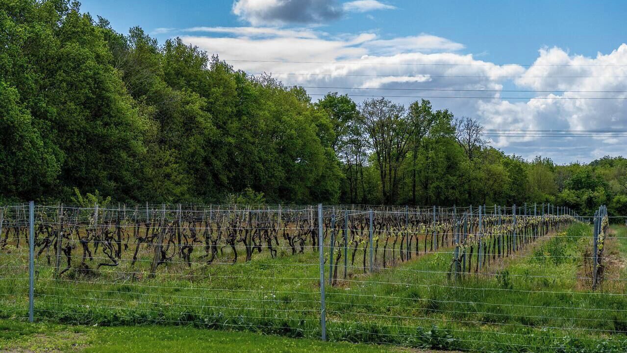 Photo of Others in Grezac