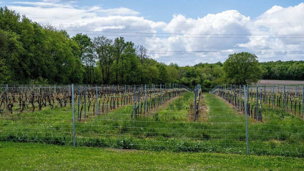 Photo of Others in Grezac