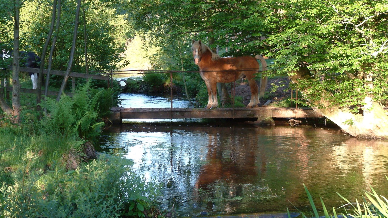 Photo of Others in Sparsbach