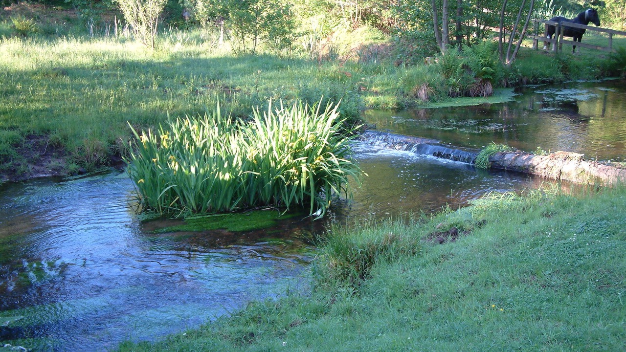 Photo of Outdoor in Sparsbach