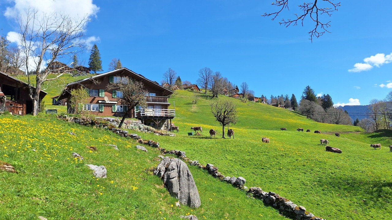 Photo of Outdoor in Braunwald