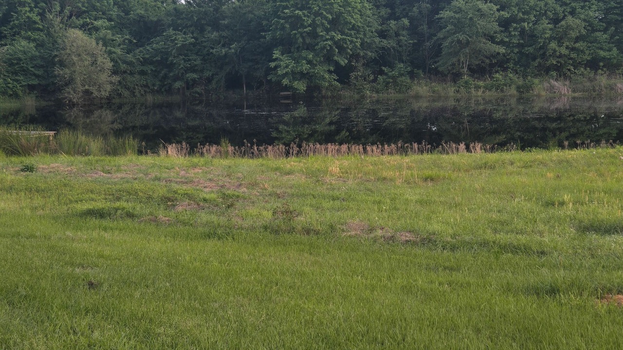 Photo of Others in Mount Vernon