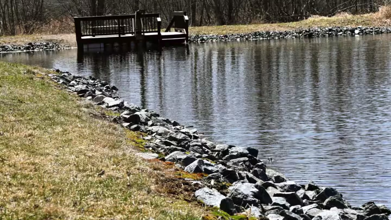 Photo of Others in Jim Falls