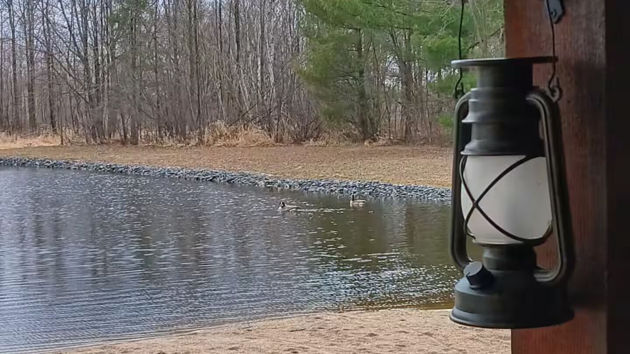 Photo of Outdoor in Jim Falls