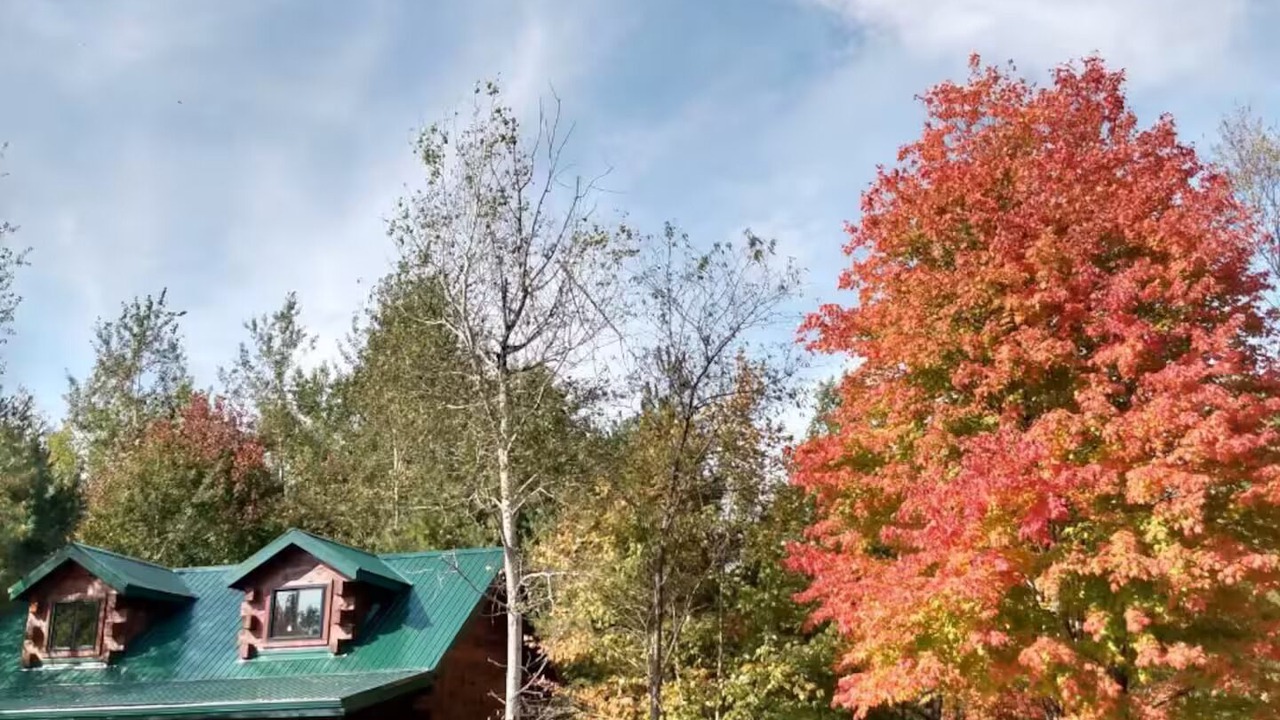 Photo of Outdoor in Jim Falls