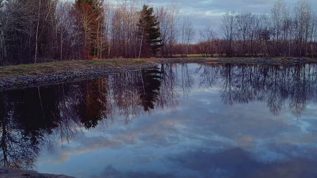 Photo of Others in Jim Falls