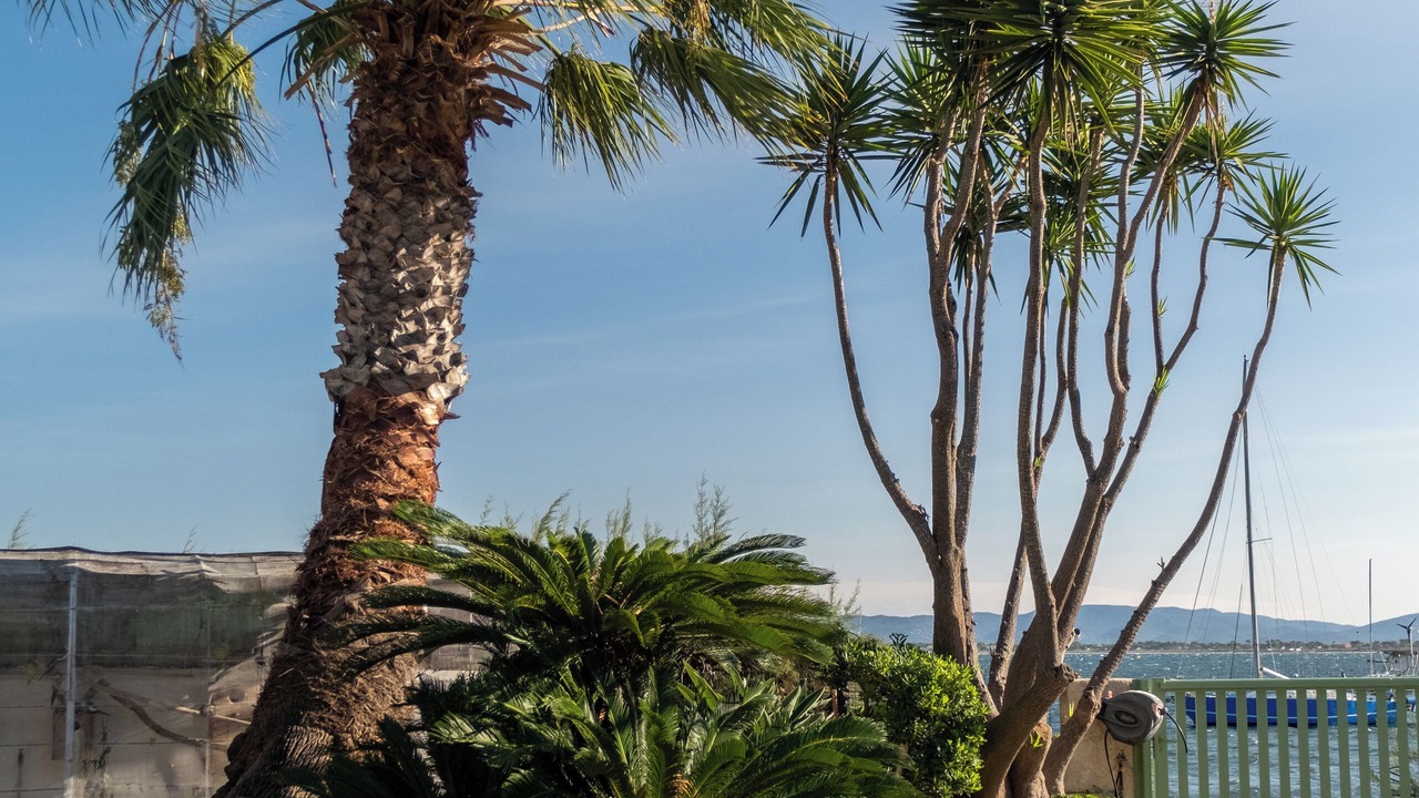 Photo of Outdoor in Giens
