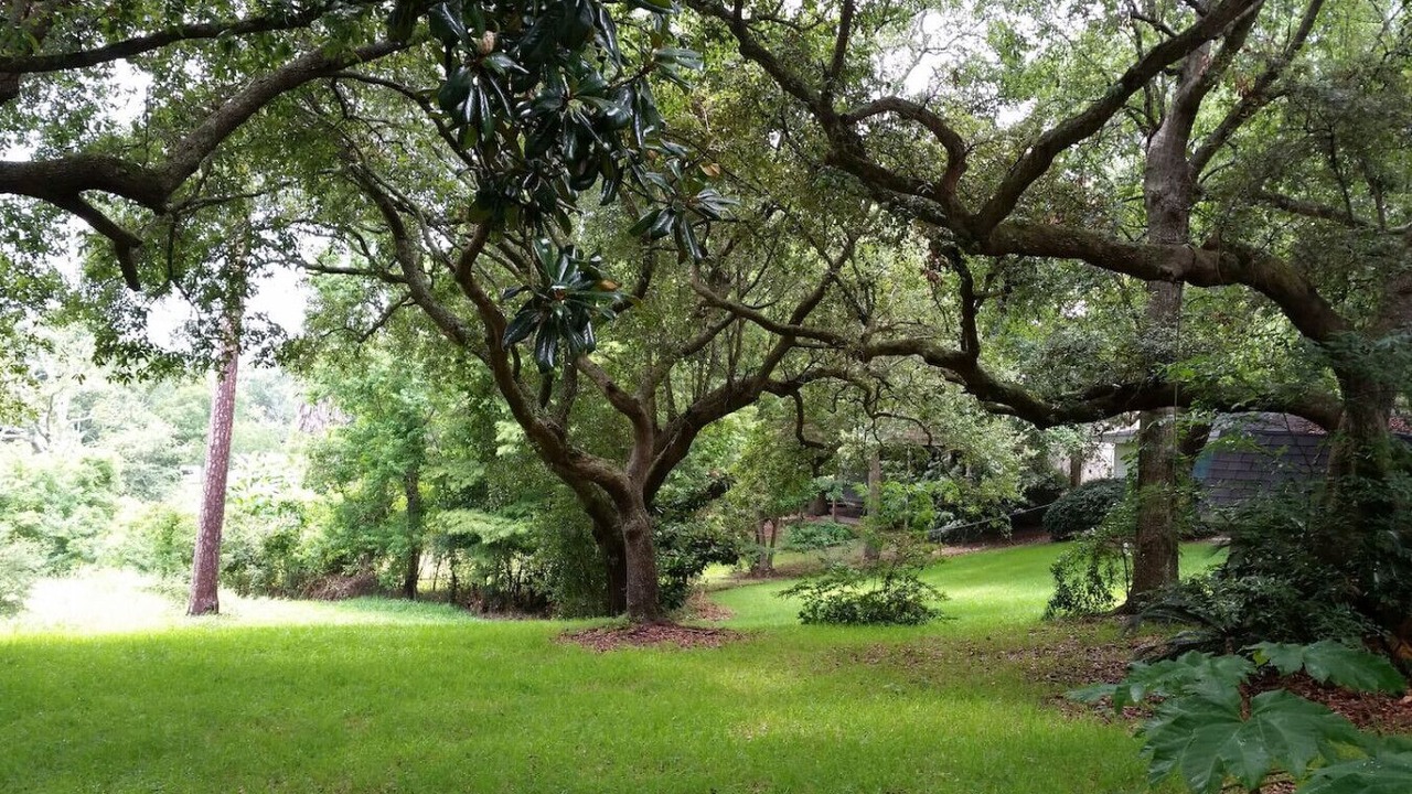Photo of Outdoor in Gautier