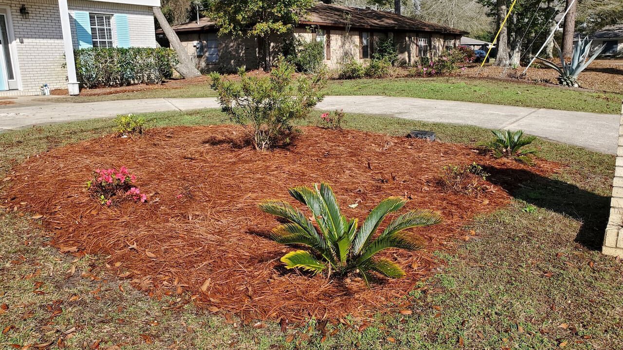 Photo of Outdoor in Gautier