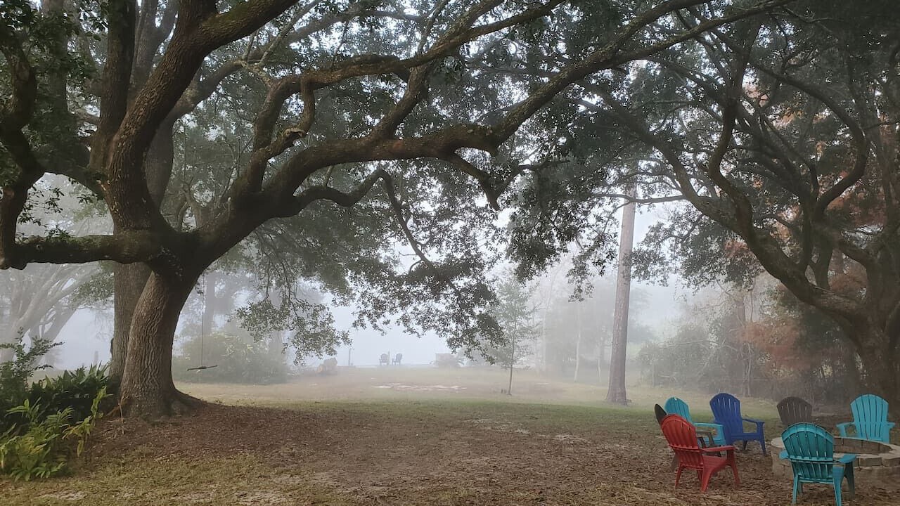 Photo of Outdoor in Gautier