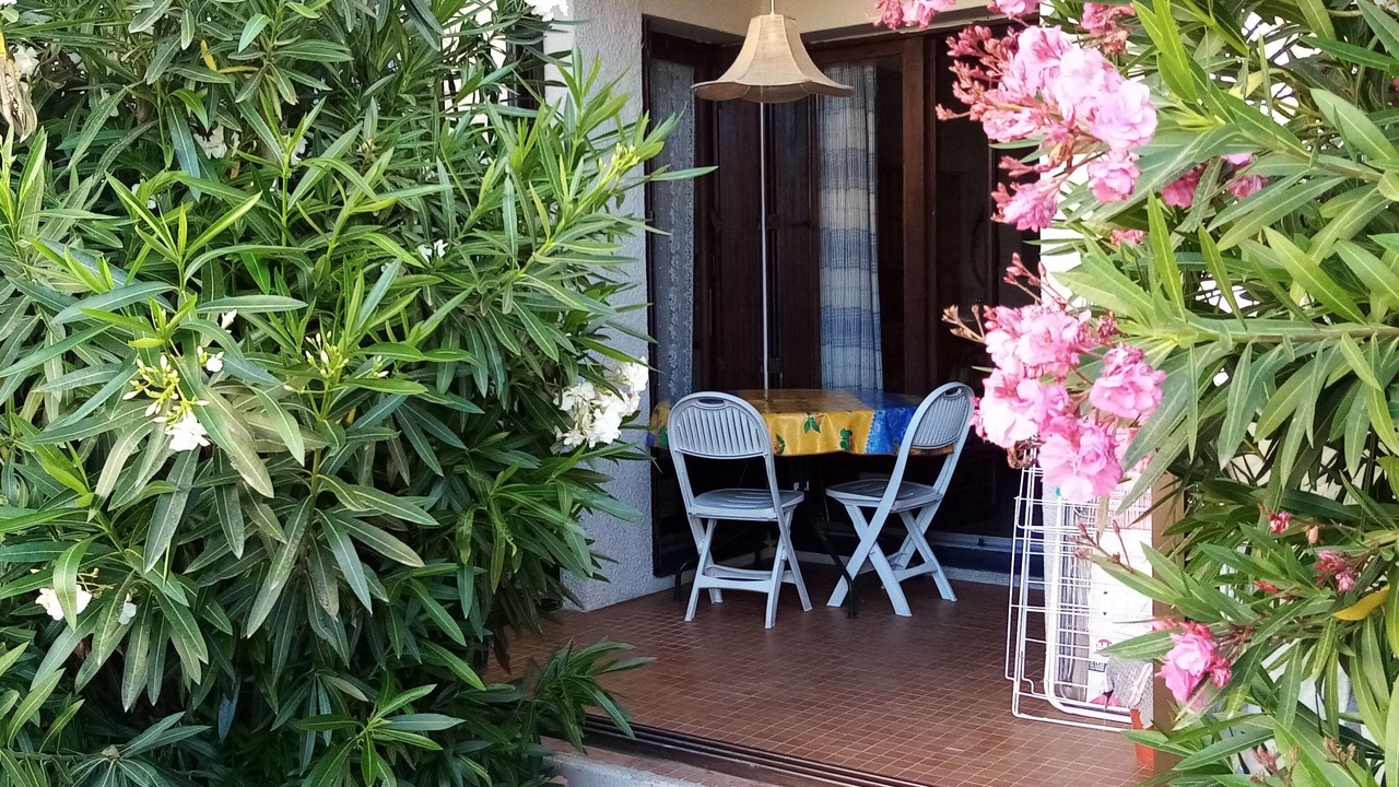 Photo of Outdoor in Les Arenes