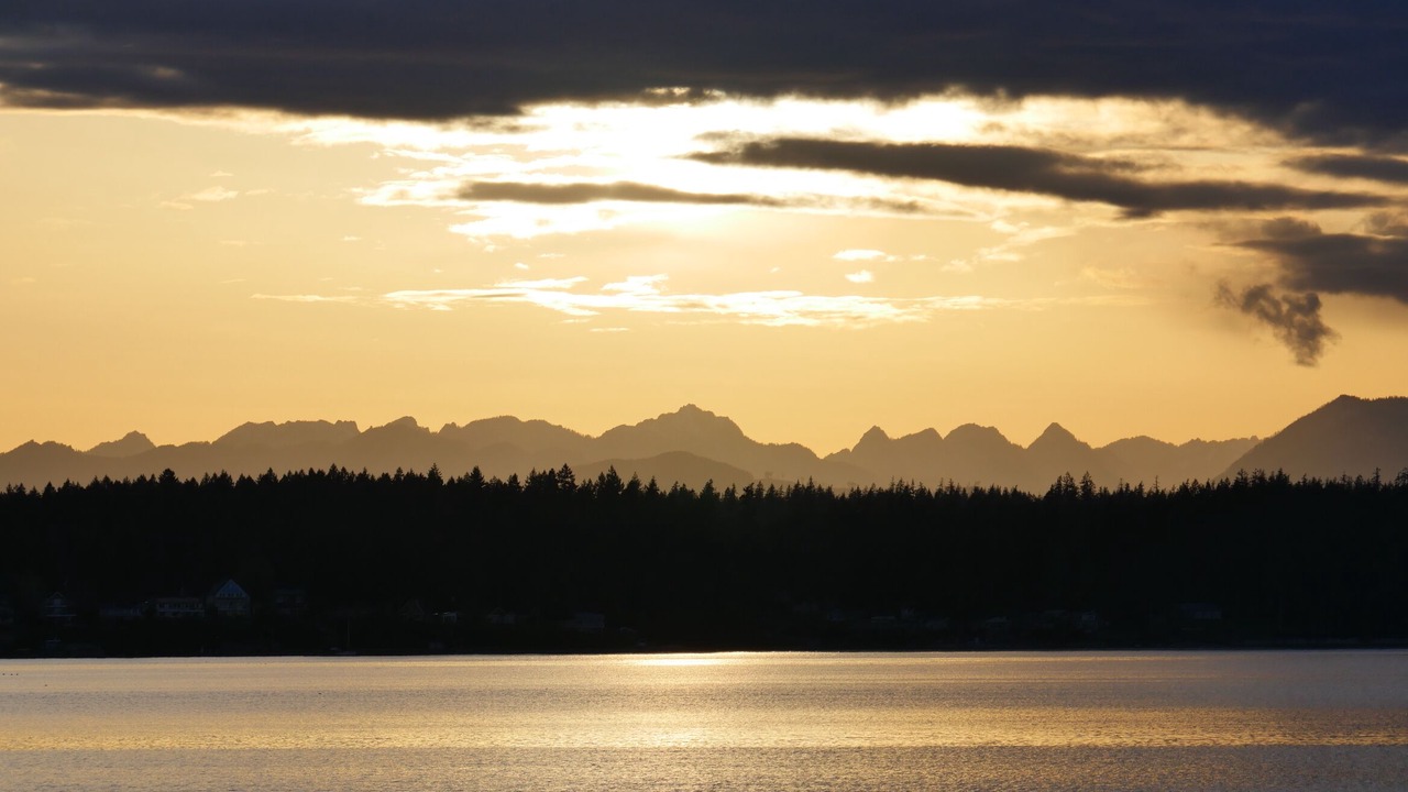 Photo of Others in Vaughn