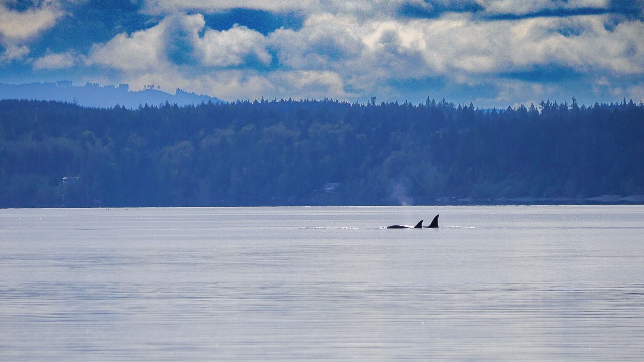 Photo of Others in Vaughn