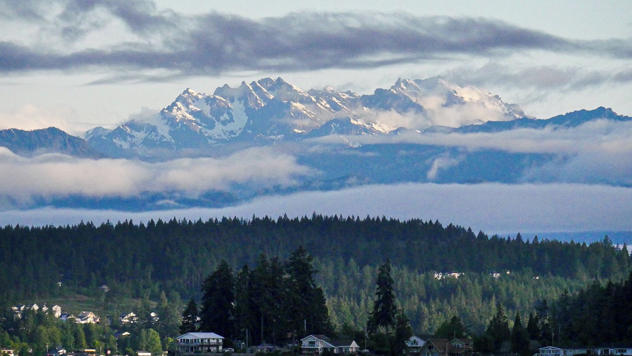 Photo of Others in Vaughn