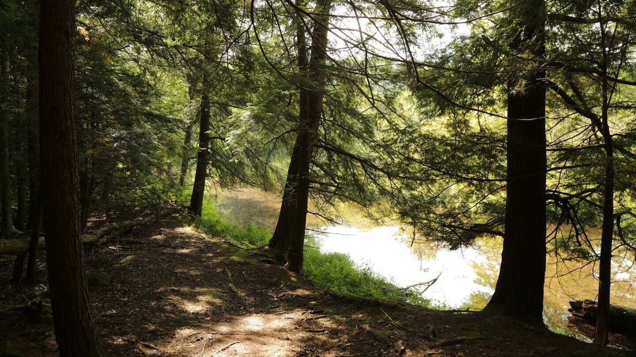 Photo of Others in Angelica